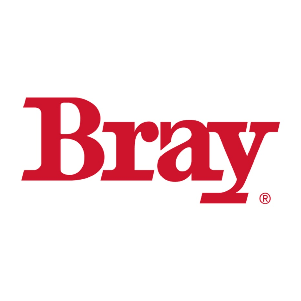 Bray International