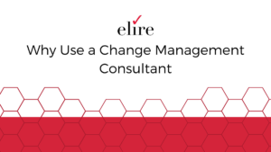 why use a change management consultant